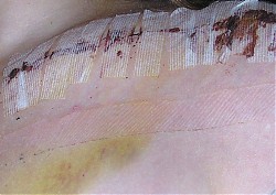 Click image for larger version Name:	021_edited.JPG Views:	250 Size:	171.2 KB ID:	10203