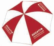 Umbrella for the unexpected shower