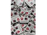 DSC Key Ring