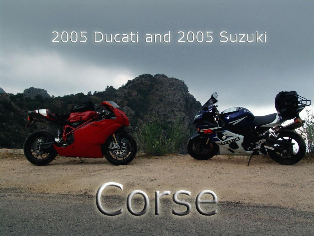 suzuki-and-ducati-corse2.jpg