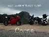 suzuki-and-ducati-corse2.jpg