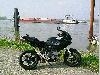 Picture 002a.JPG