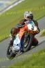 PICCIES 006.jpg