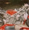 996 after my crash on the Ring( 3 months old ...ouch)