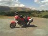 Monster in the Lakes July 2006