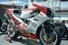 888 tricolore